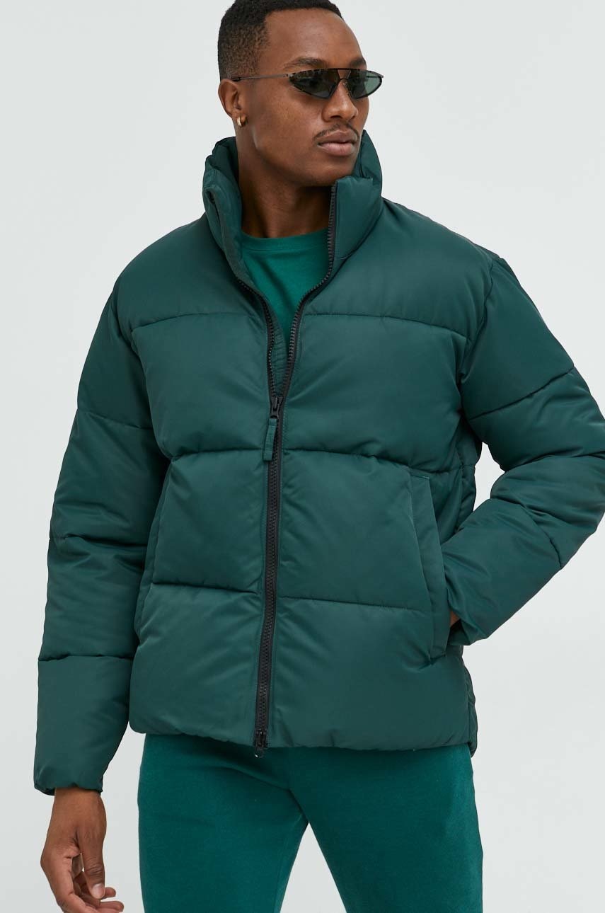 Abercrombie & Fitch  Bunda