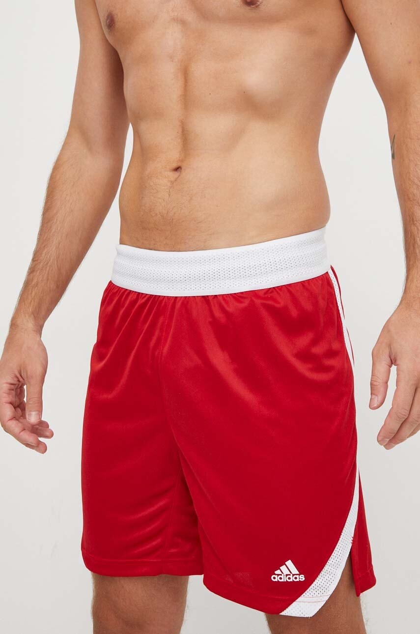 adidas Performance  Tréninkové šortky  Icon Squad