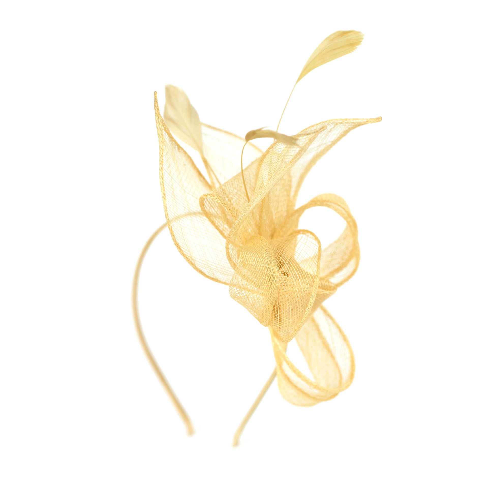 Art Of Polo Woman's Fascinator cz18577