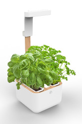 Autonomní domácí zahrada Veritable Botaneo Eylo