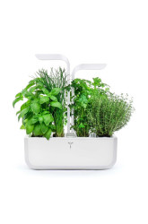 Autonomní domácí zahrada Veritable Classic 33 x 18,5 x 45 cm