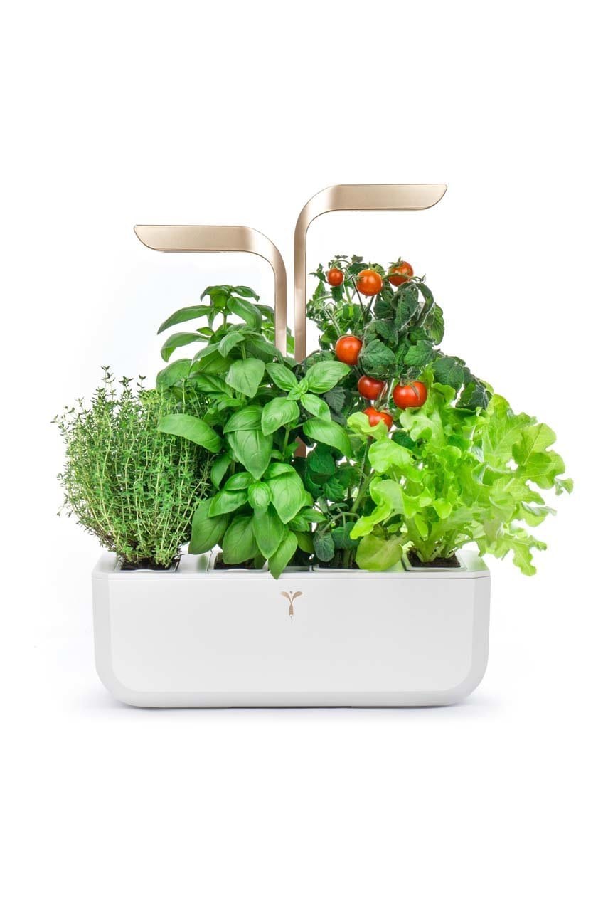 Autonomní domácí zahrada Veritable Connect 33 × 18,5 x 45 cm