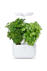 Autonomní domácí zahrada Veritable Exky Classic 20 × 18 cm