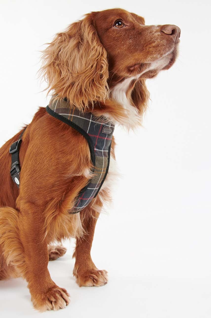 Barbour  Postroj pro psa