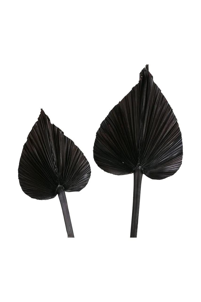 Boltze  Dekorace  Areca 2-pack