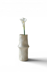 Botané  dekorativní 65 x 10 cm