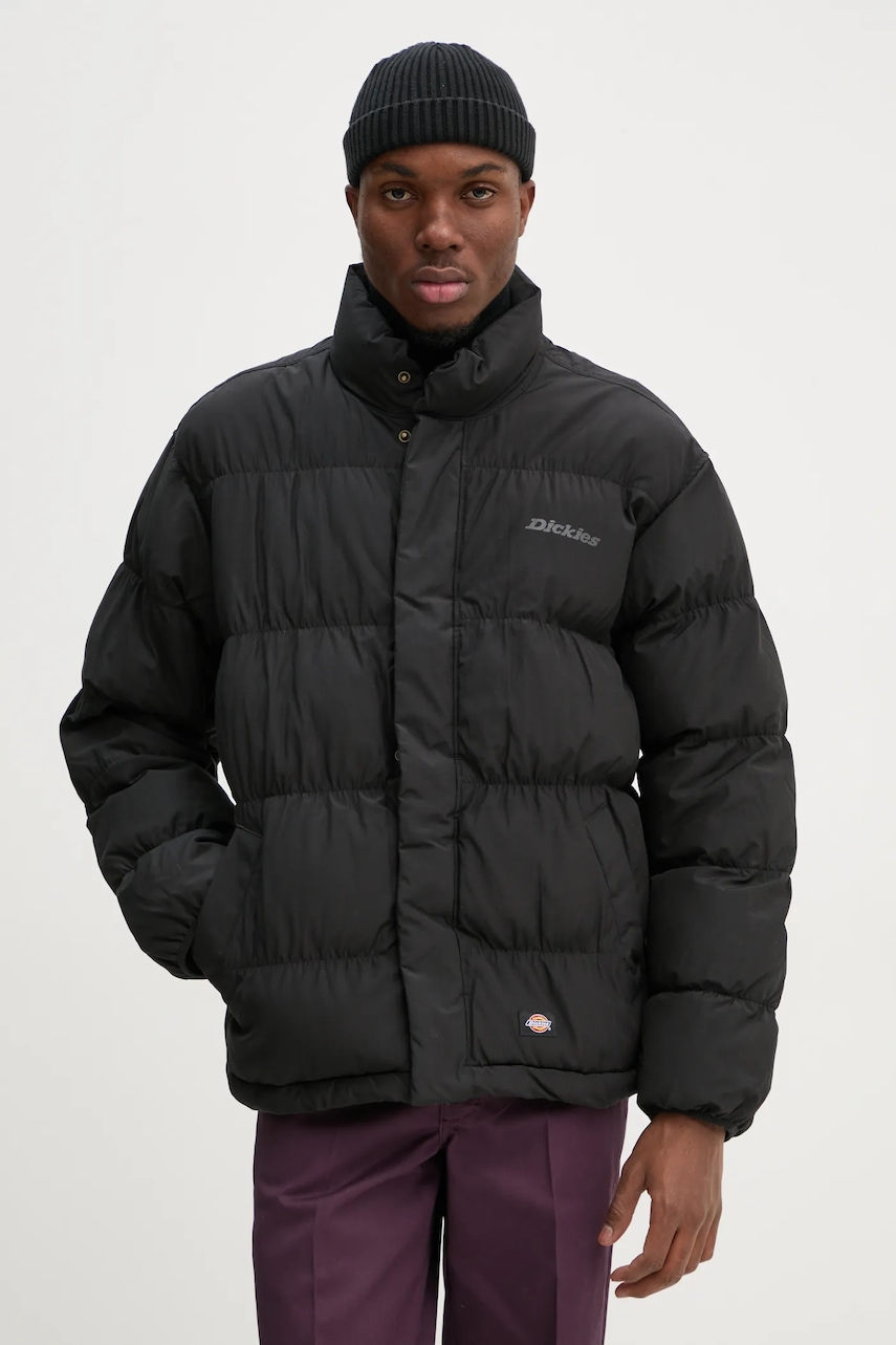 Bunda Dickies SCOBEY