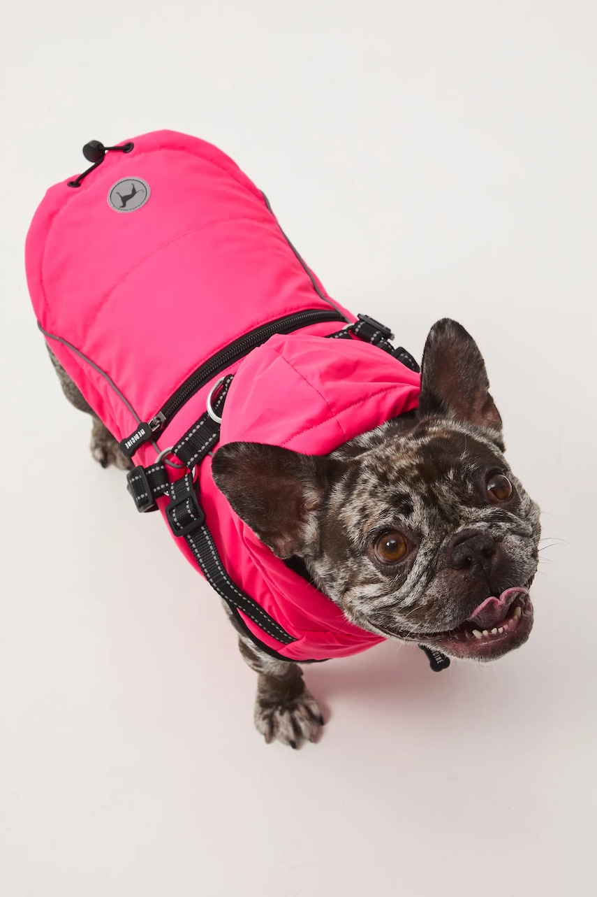 Bunda pro mazlíčka Medicine