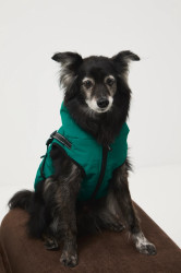 Bunda pro mazlíčka Medicine