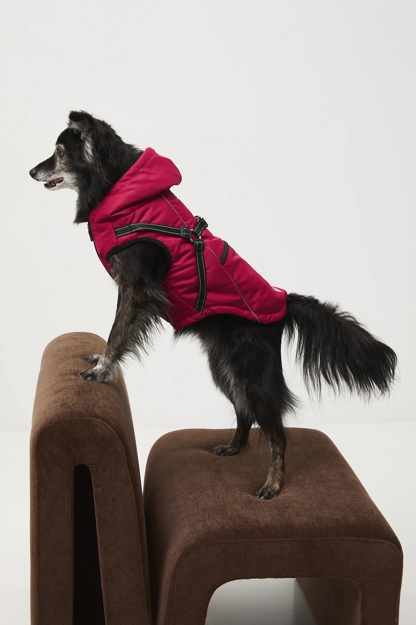 Bunda pro mazlíčka Medicine