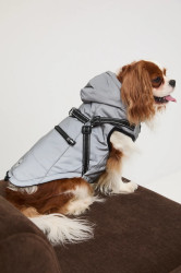 Bunda pro mazlíčka Medicine