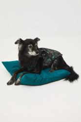 Bunda pro mazlíčka Medicine