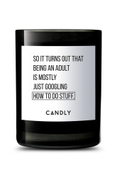 Candly  Vonná sójová svíčka  So it turns out that being an adult is mostly just googling hot to do stuff 250 g