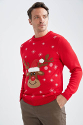 DEFACTO New Year Themed Regular Fit Crew Neck Sweater