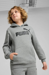 Dětská mikina Puma ESS No. 1 Logo Hoodie FL B šedá barva, s kapucí, s potiskem, 684908