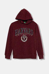 Dětská mikina United Colors of Benetton vínová barva, s kapucí, s potiskem, 32N4C204U