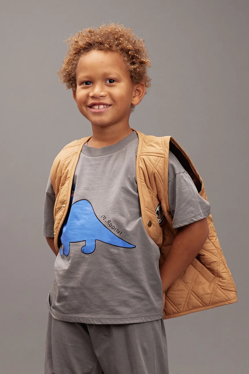 Dětské bavlněné tričko Mini Rodini Dino šedá barva, s potiskem, 25720131