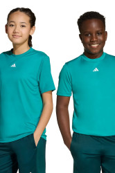 Dětské tričko adidas zelená barva, s potiskem, JW4991