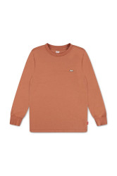 Dětské tričko s dlouhým rukávem Levi's LS GRAPHIC TEE SHIRT
