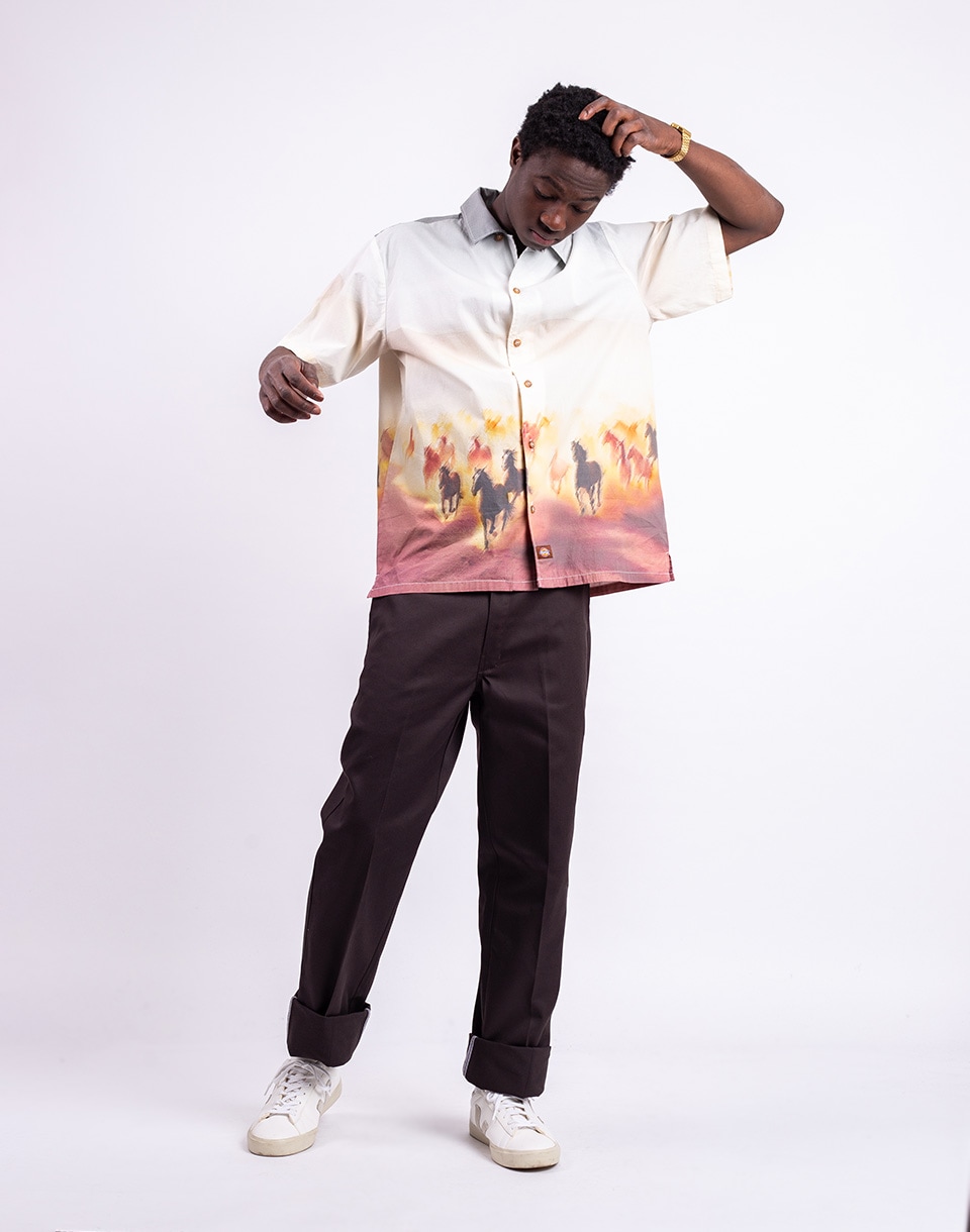 Dickies 874 Work Pant Rec DARK BROWN W28/L30