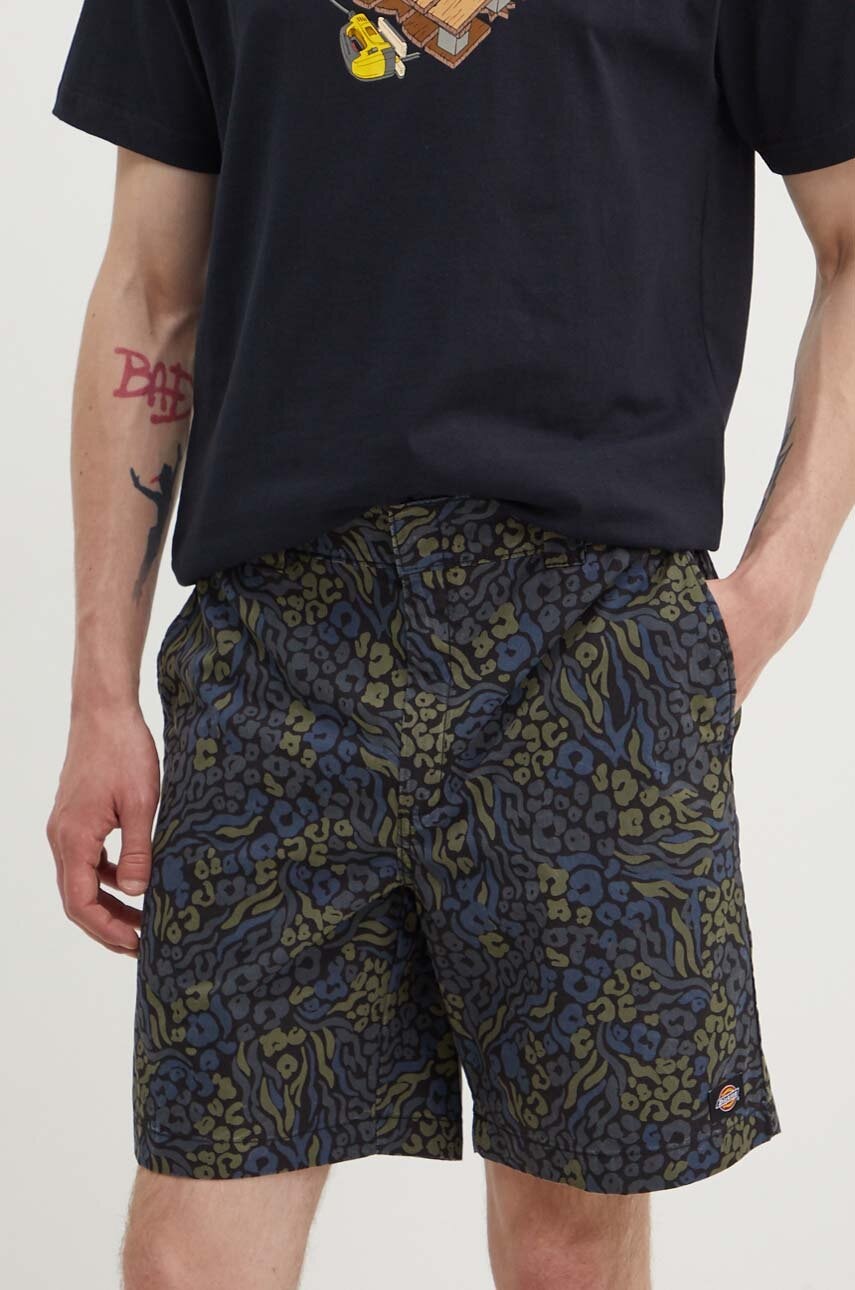 Dickies  Bavlněné šortky  SALTVILLE