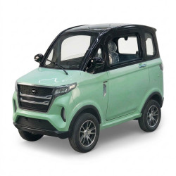 Elektrická čtyřkolka W-TEC Tuligo II • 2000W • 45km/h • až 80km dojezd • s řidičákem mentolová