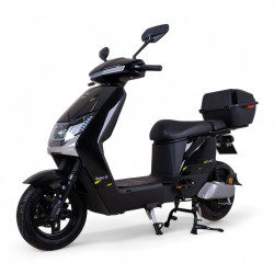 Elektrický skútr W-TEC Raike 10" černo-stříbrná
