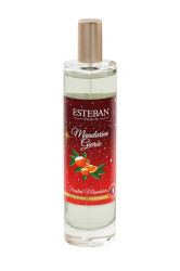 Esteban  Vonný sprej  Frosted Mandarin Christmas Edition 75 ml