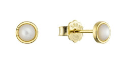 Evolution Group - Pavona Drobné pozlacené náušnice s perletí 11703.1