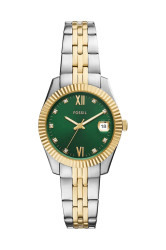 Hodinky Fossil Bicolor