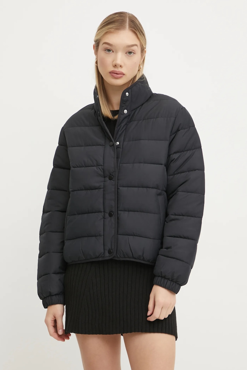 Hollister Co.  Bunda