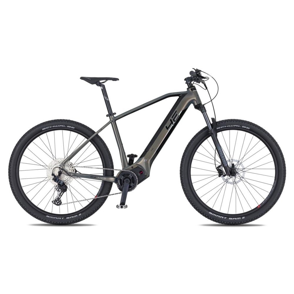 Horské elektrokolo 4EVER Exstream PRO 820Wh 29" 10.0 L (19", 175-185 cm) grey diamond/silver