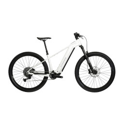 Horské elektrokolo Kross Dust Boost 1.0 29" - model 2026 • Avinox M2 motor • 24,8 kg • dojezd až 180 km S (15") bílá/stříbrná/lesk
