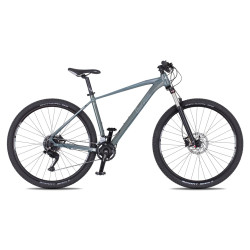 Horské kolo 4EVER FRONTBEE 29'' - model 2025 M (17", 165-175 cm) foggy/silver