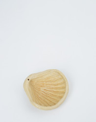 In August Company Ceramic Shell Incense Holder