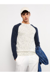 LC Waikiki Crew Neck Long Sleeve Color Block Men's Knitwear Sweater
