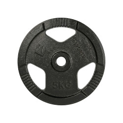 Litinový kotouč inSPORTline Hamerton Black 5 kg 30 mm