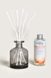 Maison Berger Paris  difuzér vonný 180 ml