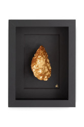 Maria el Mar  Nástěnná dekorace v rámu  Single Oyster 22 x 17 cm