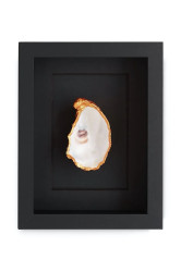 Maria el Mar  Nástěnná dekorace v rámu  Single Oyster 22 x 17 cm