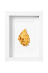 Maria el Mar  Nástěnná dekorace v rámu  Single Oyster 22 x 17 cm