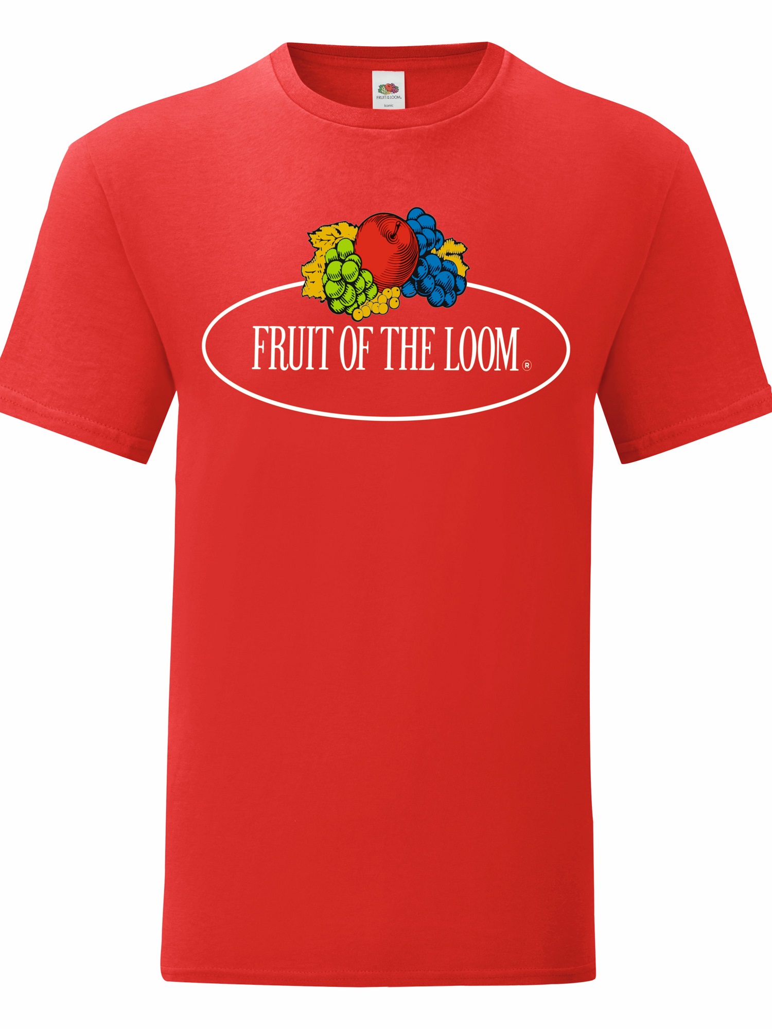 Men's Vintage T-Shirt with Big Fotl Vintage Logo