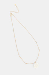 Náhrdelník Aldo MAGNOLLIA.102