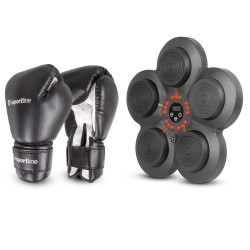 Nástěnný terč inSPORTline Smartpunch + boxerské rukavice Metrojack 4oz