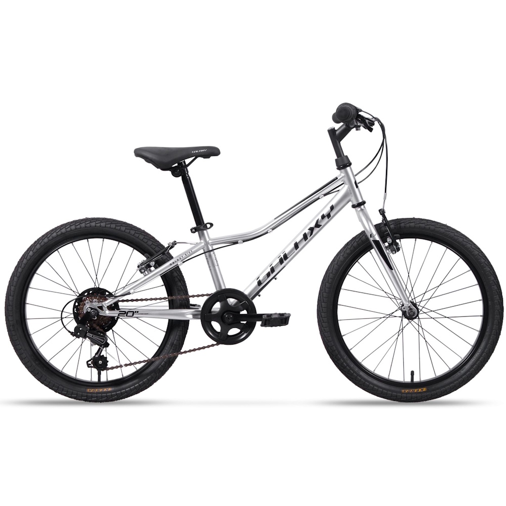 Odlehčené dětské kolo Galaxy Neptun 20" 10.0 • 113-135 cm • 11,3 kg 10" (113-135 cm) stříbrná