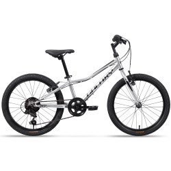 Odlehčené dětské kolo Galaxy Neptun 20" 10.0 • 113-135 cm • 11,3 kg 10" (113-135 cm) stříbrná