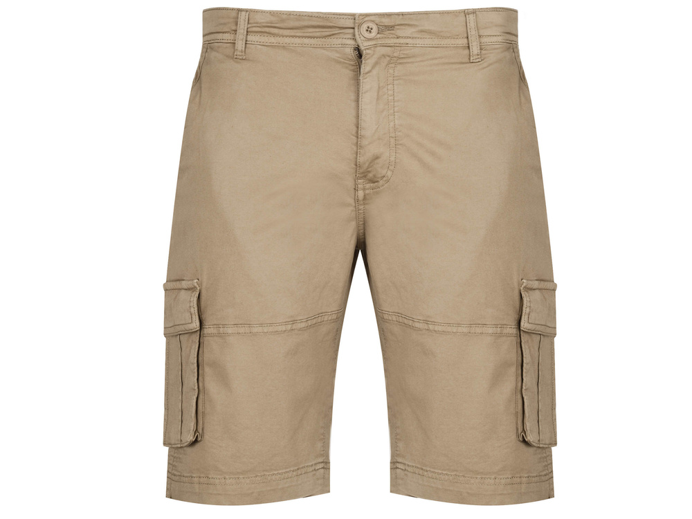 Pánské cargo šortky US Polo Assn.