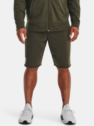 Pánské kraťasy Under Armour