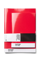 Pantone  zápisníky