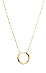 Pierre Lannier Stylový pozlacený náhrdelník pro ženy Entasis BJ20A4201